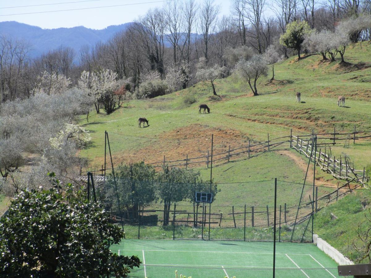 Podere La Piana Fivizzano Exterior photo
